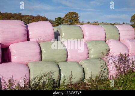 Brightly coloured pink and green plastic wrapped round hay or straw bales stacked together in bright sunshine on a farm Stock Photo