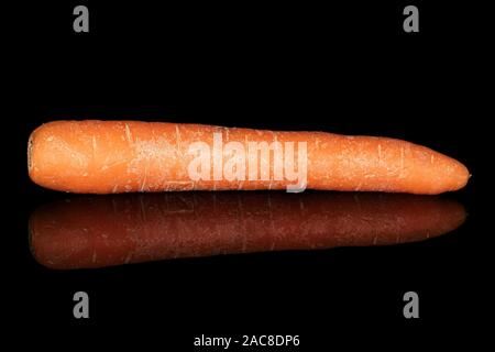 One whole fresh orange carrot isolated on black glass Stock Photo