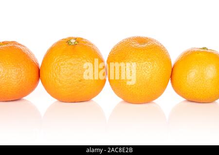 Group of four whole fresh orange mandarin in line isolated on white background Stock Photo