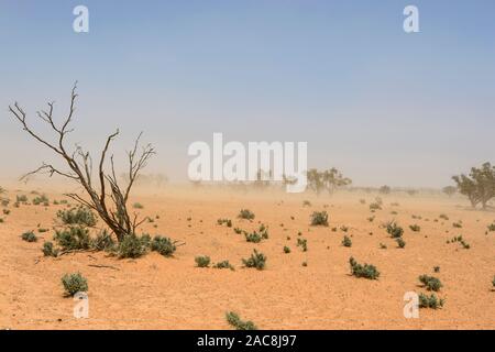 Dust storm during a drought in Paroo Darling National Park, New South Wales, NSW, Australia Stock Photo