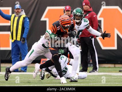 Oakland, California, USA. 17th Nov, 2019. Cincinnati Bengals wide receiver Auden  Tate (19) was taken off the field after getting hurt in a play with Oakland  Raiders safety Curtis Riley (35), during