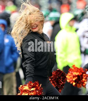 Cincinnati Bengals cheerleaders cheer for their team against the