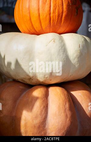 A stack of pumpkins, called marrow in some places, stacked up at a farm stand in Lancaster County, Pennsylvania, USA Stock Photo
