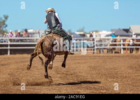 A cowboy riding a bucking bull in a rodeo competition Stock Photo