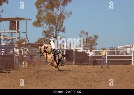 A cowboy competing in a bull riding event at an Australian country rodeo Stock Photo