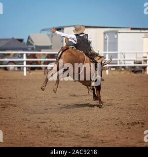 Cowboy riding a bucking bull in a competition at a country rodeo Stock Photo