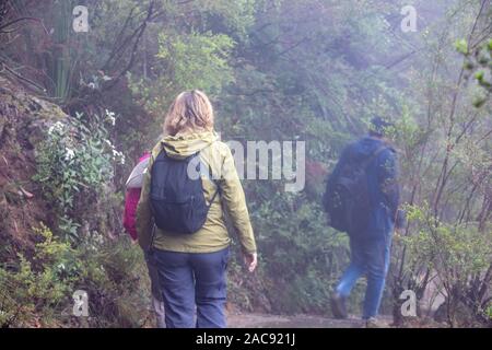 Hiking in the blue mountains new south wales australia, man and woman hike through thick fog on a summers day,Australia Stock Photo