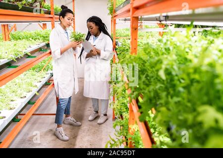 Young Asian and African female biologists in whitecoats working in greenhouse and studying new sorts of plants Stock Photo