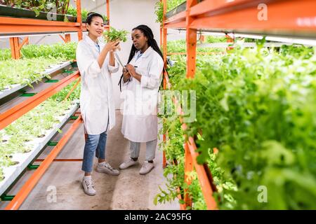 Asian and African female biologists in workwear studying new sorts of plants while standing in aisle of greenhouse Stock Photo