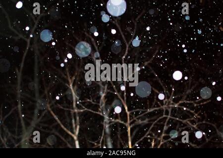 White Snow Falling on Isolated Black Background, Shot of Flying Snowflakes Bokeh, Dust Particles or Powder in the Air. Holiday Overlay Effect Stock Photo