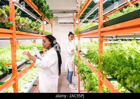Young African biologist or researcher in whitecoat standing by shelf with green seedlings while studying plants Stock Photo