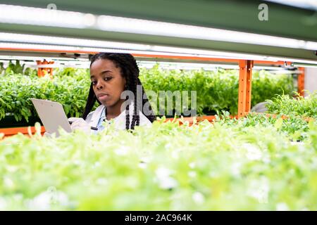 Young gloved African biologist making notes while standing among shelves with green seedlings in greenhouse Stock Photo