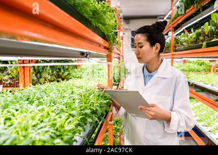 Young serious Asian woman in whitecoat standing by shelf with green seedlings Stock Photo