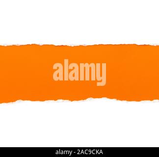 White paper with torn edges isolated with a bright orange color paper background inside. Good paper texture Stock Photo