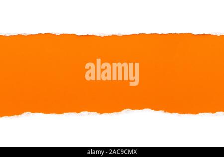 White paper with torn edges isolated with a bright orange color paper background inside. Good paper texture Stock Photo