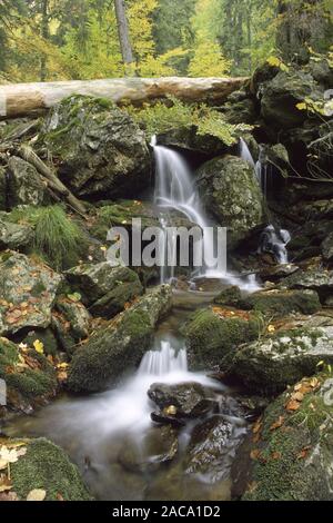 hoellbachgespreng, mountain torrent, wildbach, np bavarian forest, bayrischer wald, bayner, bavaria, germany, deutschland, Stock Photo