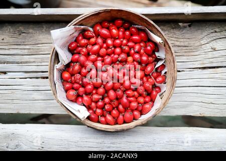 Photo of reshly picked rosehipsin a rural courtyard . Wooden bowl of rose hip or rosehip. Commonly known as the dog rose aka rosa canina Stock Photo