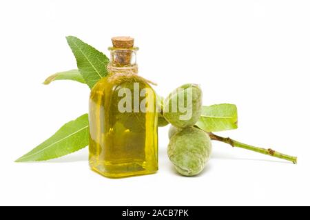 almond oil Stock Photo