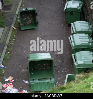 Aberystwyth Ceredigion/UK November 13 2019: Overturned Wheelie bins spilling their contents on to the Aberystwyth street Stock Photo