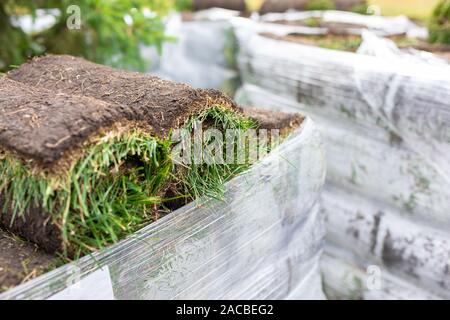 Stack of turf grass rolls for a lawn. Carpet of turf, roll of sod, turf grass roll for landscaping. Installation of a modern landscape and the environ Stock Photo