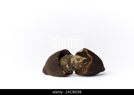 Rotten cocoa fruit isolated white background. - image Stock Photo - Alamy