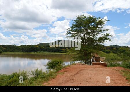 LILONGWE, MALAWI, AFRICA - APRIL 1, 2018: Two african boys are sitting under the tree near Kamuzu dam Stock Photo