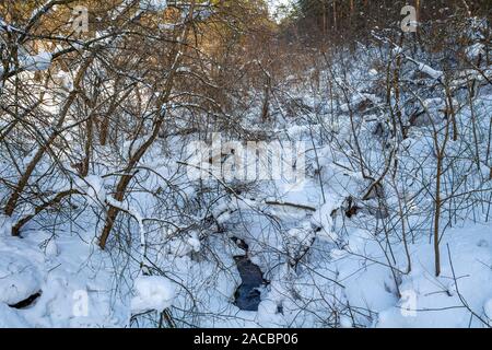 Kemerovo, ice-free stream in the forest Stock Photo