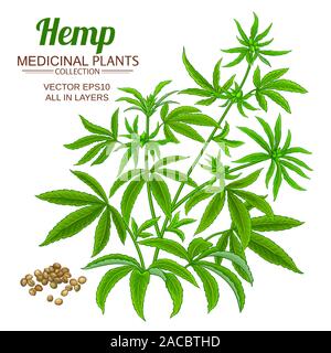 hemp vector set Stock Vector