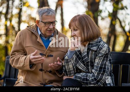 Senior couple is sitting on bench in park and talking. Stock Photo