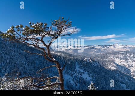 Winter in the Flatirons of Boulder, Colorado Stock Photo