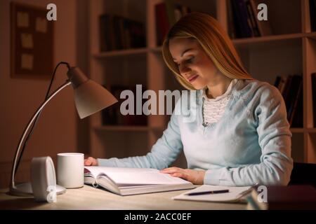Student learning at home. Stock Photo