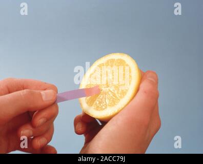Litmus paper test. Blue litmus paper turns red in the presence of an acid. The juice from the lemon contains citric acid. Litmus is an organic materia Stock Photo