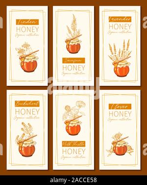 Honey flowers vintage vertical flyers design. Engraved Clover, Milk Thistle and Sainfoin plants with glass honey jar and drop. Hand drawn Lavender, Buckwheat orange logo templates set. Sketch banners Stock Vector