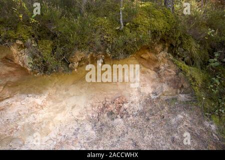Cross section of sandy soil, relief vertical cut closeup, textured background image Stock Photo