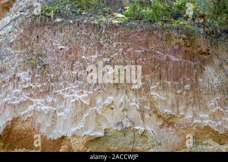 Cross section of sandy soil, relief vertical cut closeup, textured background image Stock Photo