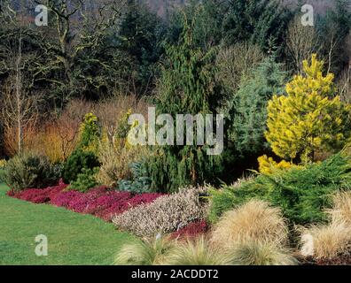 Garden border in winter. Photographed at RHS Rosemoor, Great Torrington, Devon, UK. Stock Photo