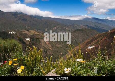 Landscape near Los Nevados village in andean cordillera Merida state Venezuela. Los Nevados, is a town founded in 1591, located in the Sierra Nevada N Stock Photo