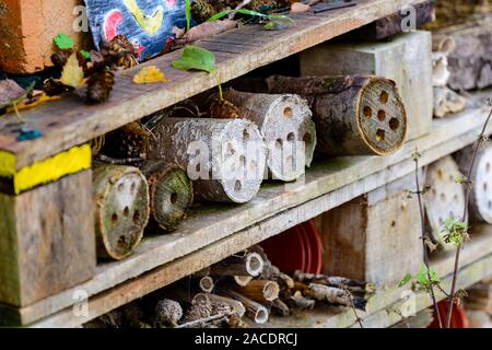 A bug hotel made out of wooden pallets and other wooden materials to encourage homes for invertebrates which is in the Clare Castle Country Park in Su Stock Photo