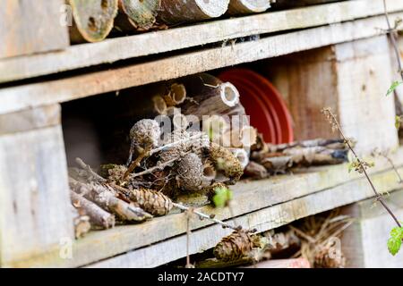 A bug hotel made out of wooden pallets and other wooden materials to encourage homes for invertebrates which is in the Clare Castle Country Park in Su Stock Photo