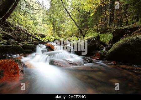 Stream in the autumn forest. Stock Photo