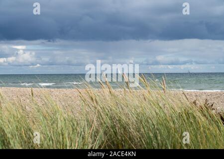 The baltic sea, the beach and marram grass - focused on the sea Stock Photo