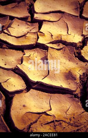 Infertile land burned by the sun: famine and poverty concept Stock Photo