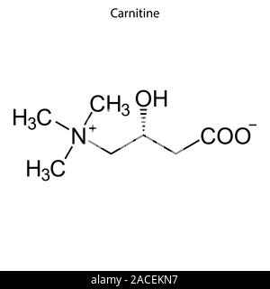 l carnitine iupac Acetylcarnitine mitochondrial matrix and the mitochondrial respiration in the leaves of maize grown under normal and cold conditions is investigated L-Carnitine | C7H15NO3 | Supreme
