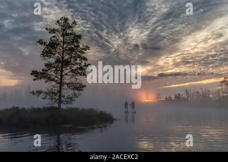 Sunrise at foggy swamp with small dead trees covered in early morning with people on sup boards Stock Photo