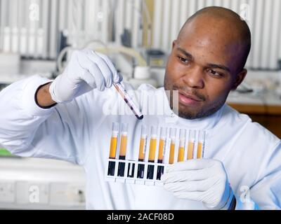 Blood typing. Technician preparing samples of donated blood for analysis. The samples will be tested automatically by a blood grouping analyser (not s Stock Photo