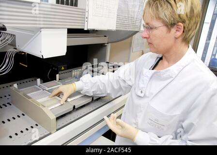 Blood analysis. Haematologist loading a microplaque, containing samples of donated blood, into an automated analyser. This machine automatically scree Stock Photo