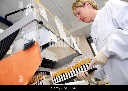Blood analysis. Haematologist loading samples of donated blood into an automated analyser. This machine automatically screens for viral blood infectio Stock Photo
