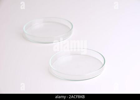 Petri dishes isolated on white background. Science scientific concept Stock Photo