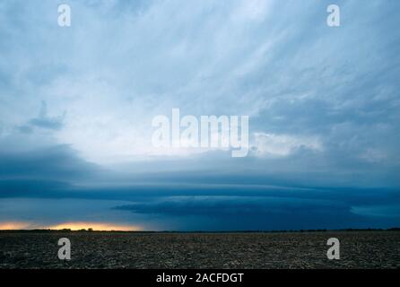 Shelf cloud forming over fields. A shelf cloud is a type of cloud that forms in advance of a severe thunderstorm. Photographed in Kansas, USA. Stock Photo
