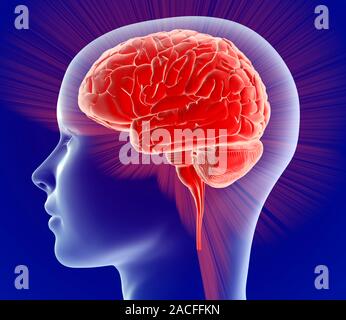 Creativity, conceptual computer artwork. Profile of a human head showing the brain emitting rays of light, representing thinking and creativity. Stock Photo